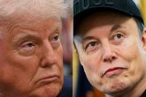 Musk, Trump, Gaza, Tesla